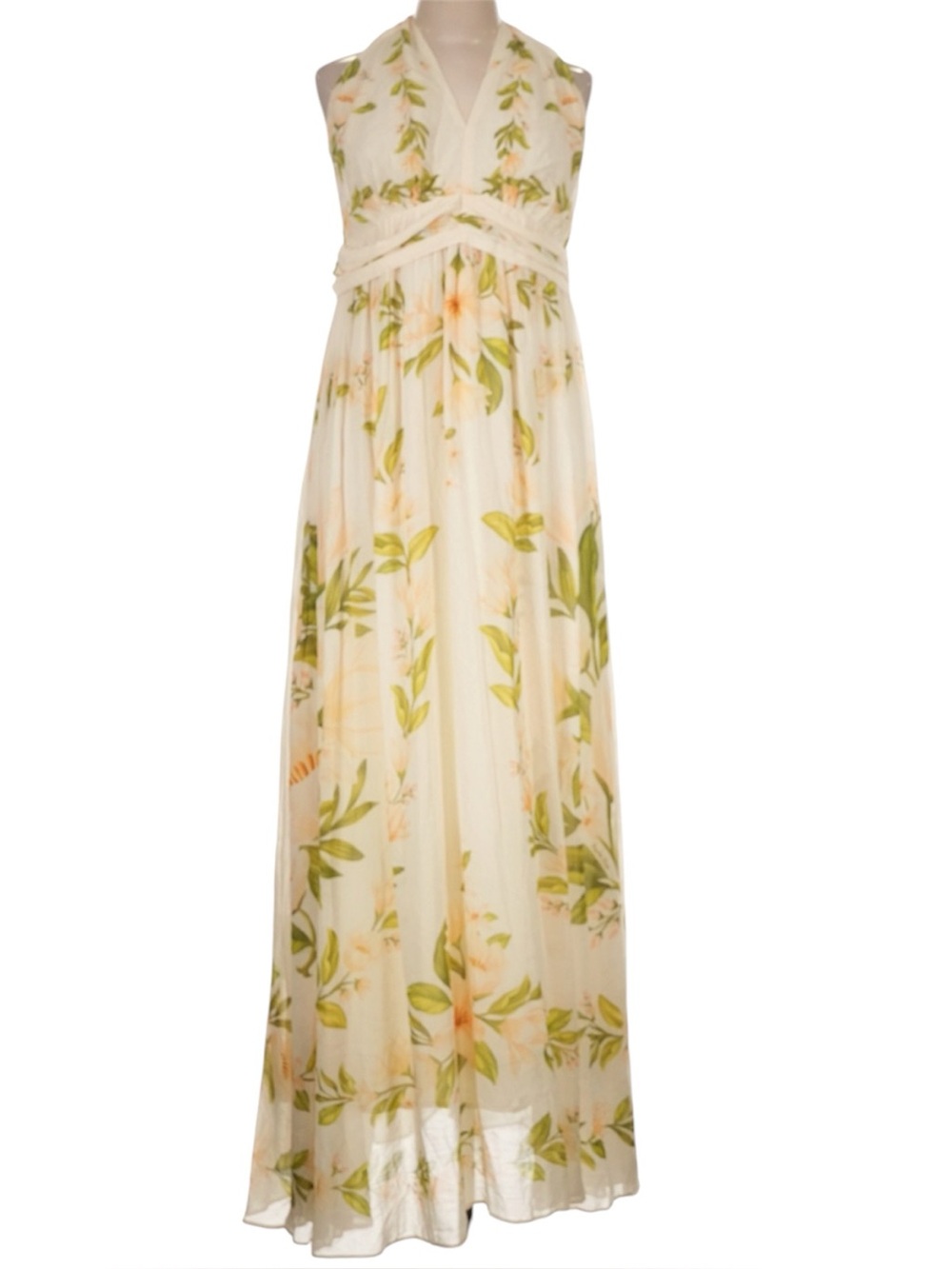 FARM Rio X Anthropologie V-Neckline Floral Chiffon Maxi Dress Size Large - Picture 4 of 9